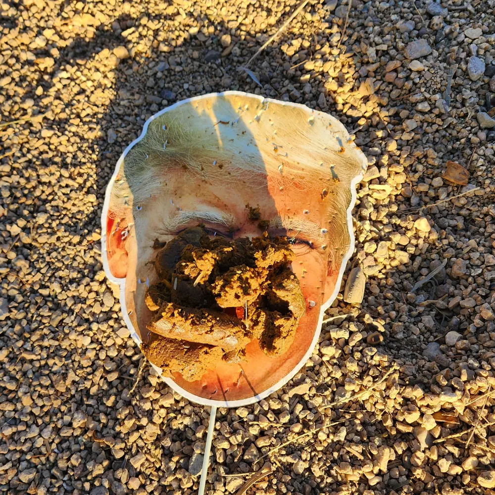 angst4-us.bsky.social's profile picture