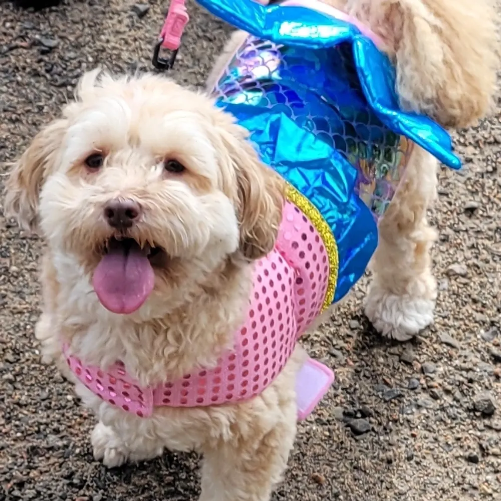 ejecharette.bsky.social's profile picture