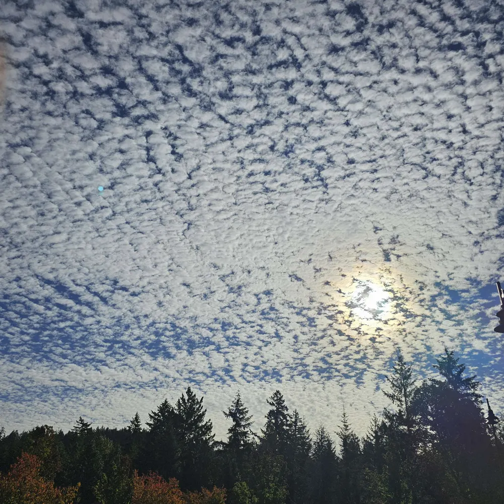 lucycat02.bsky.social's profile picture