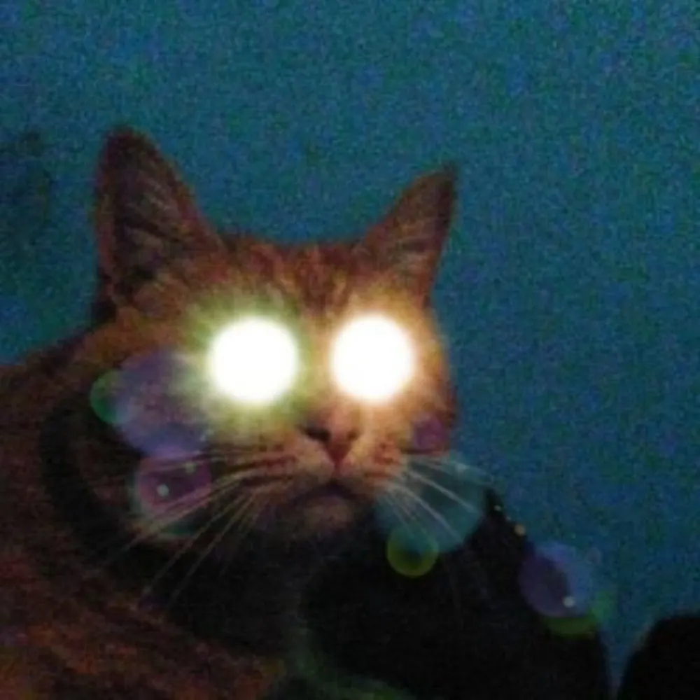 catmanafterhours.bsky.social's profile picture