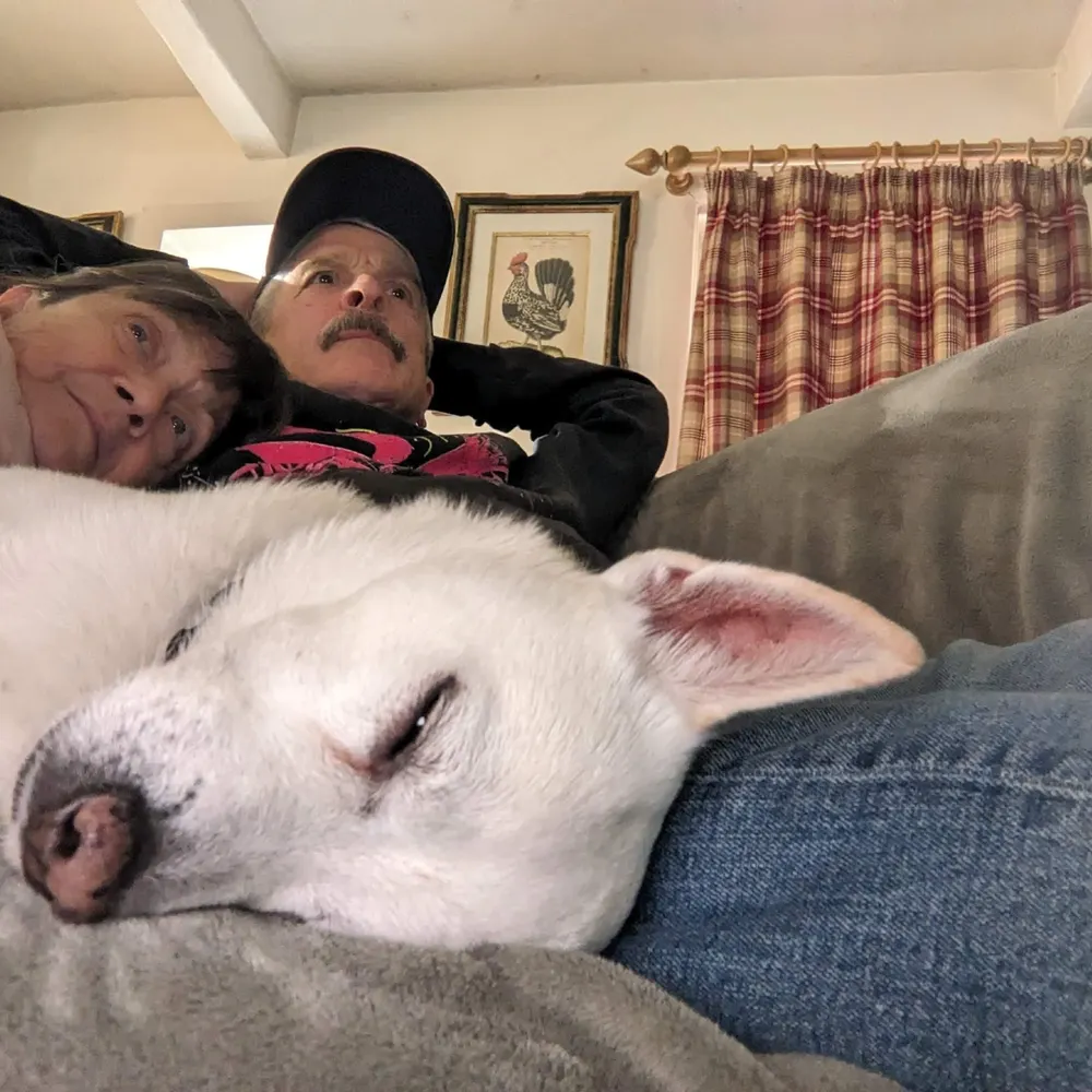 lmc55g95.bsky.social's profile picture