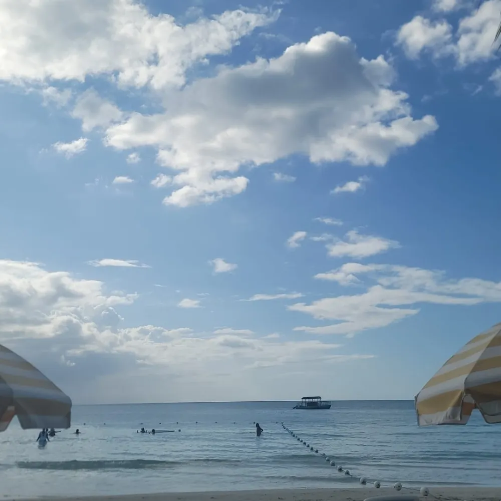 msc98.bsky.social's profile picture