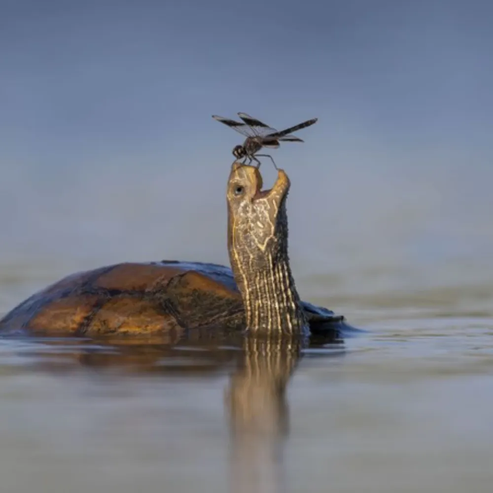 kelrr.bsky.social's profile picture