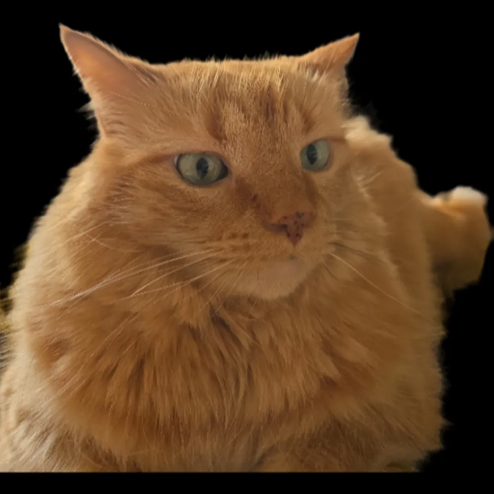 jonnysparks.bsky.social's profile picture