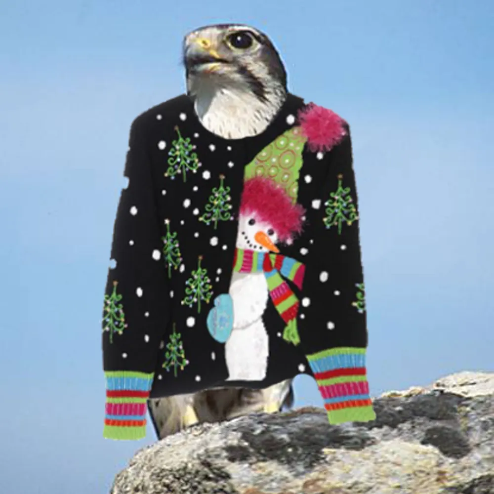 guynermie62.bsky.social's profile picture