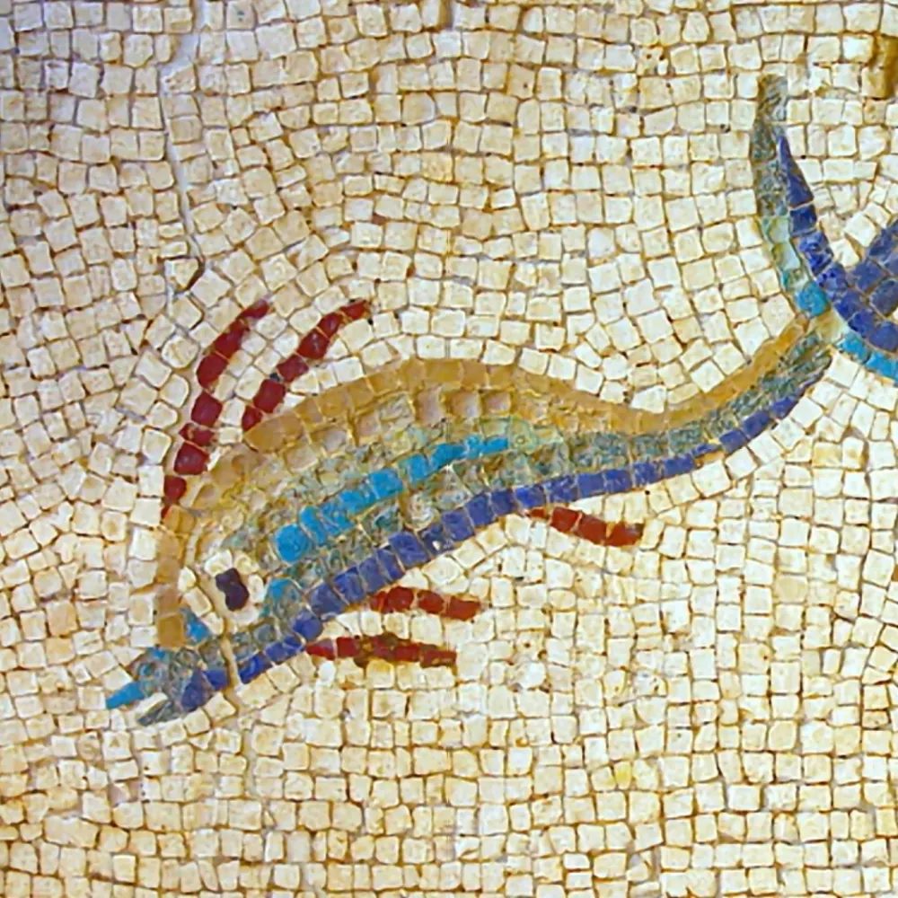 progressivefish.bsky.social's profile picture