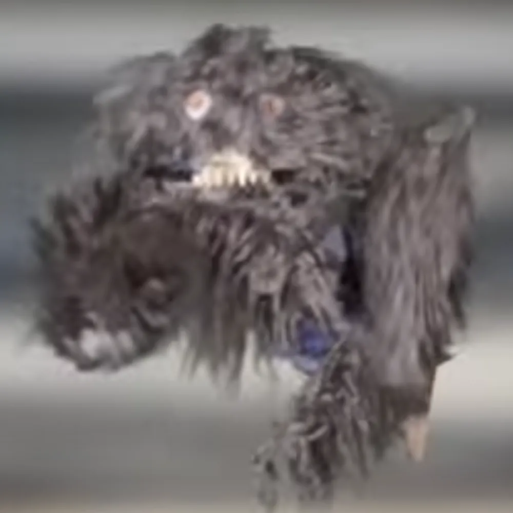 ozwalled.bsky.social's profile picture