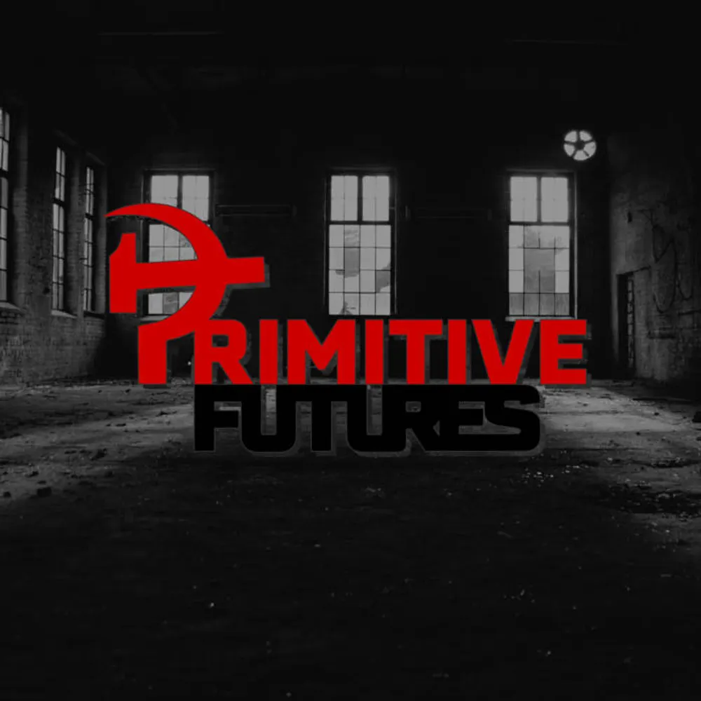 primitivefutures.elseif.social's profile picture