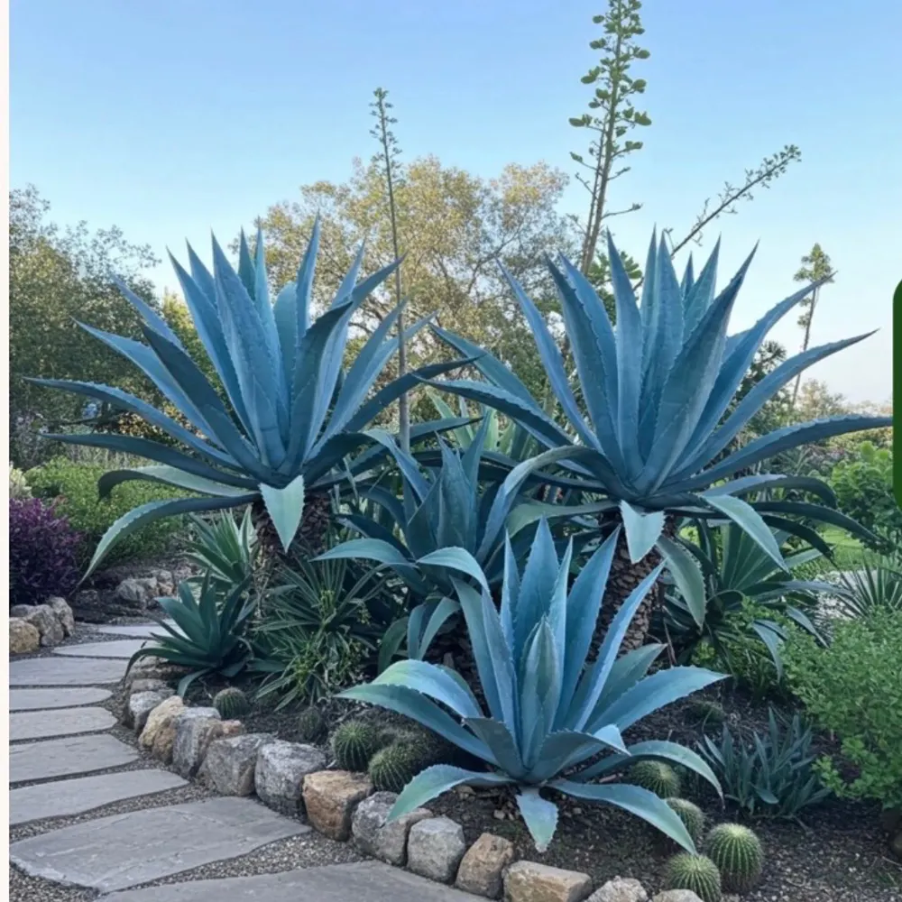 khelenbre.bsky.social's profile picture