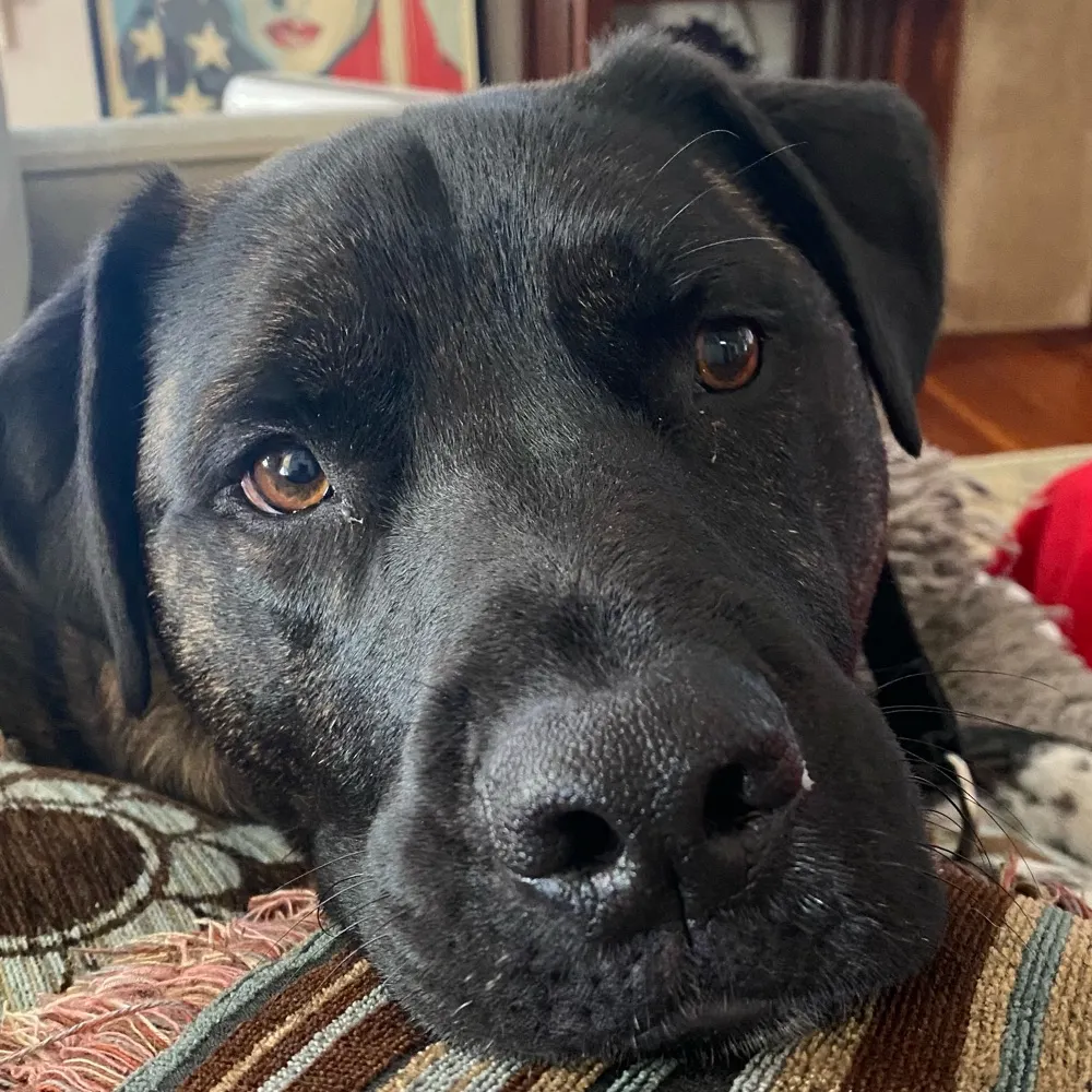 sjohn866.bsky.social's profile picture