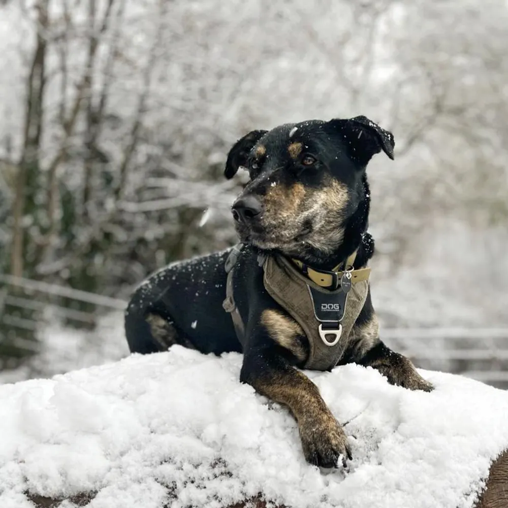 ronsmate.bsky.social's profile picture