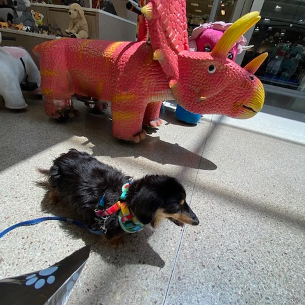 tracymohr.bsky.social's profile picture