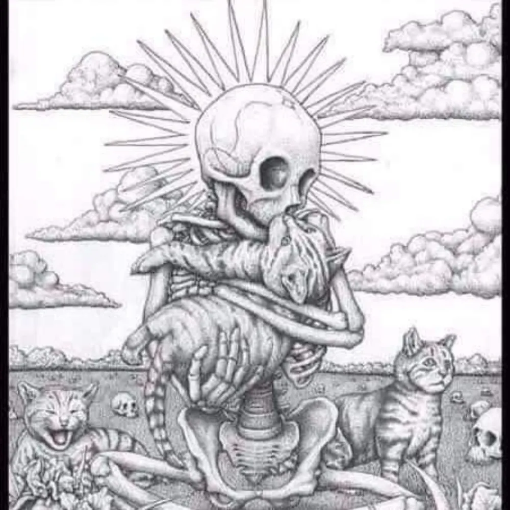 csherman.bsky.social's profile picture