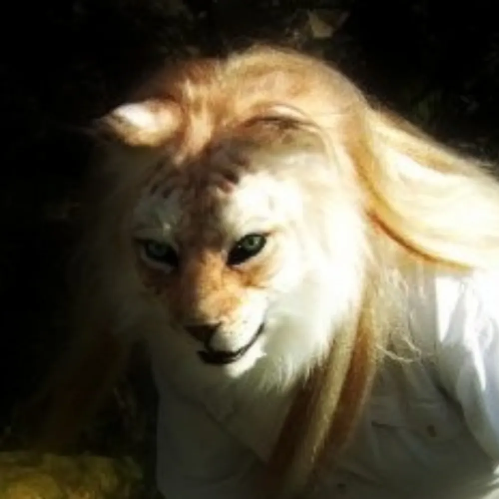 fangorntiger.bsky.social's profile picture