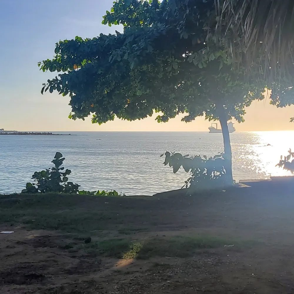 rurdac.bsky.social's profile picture