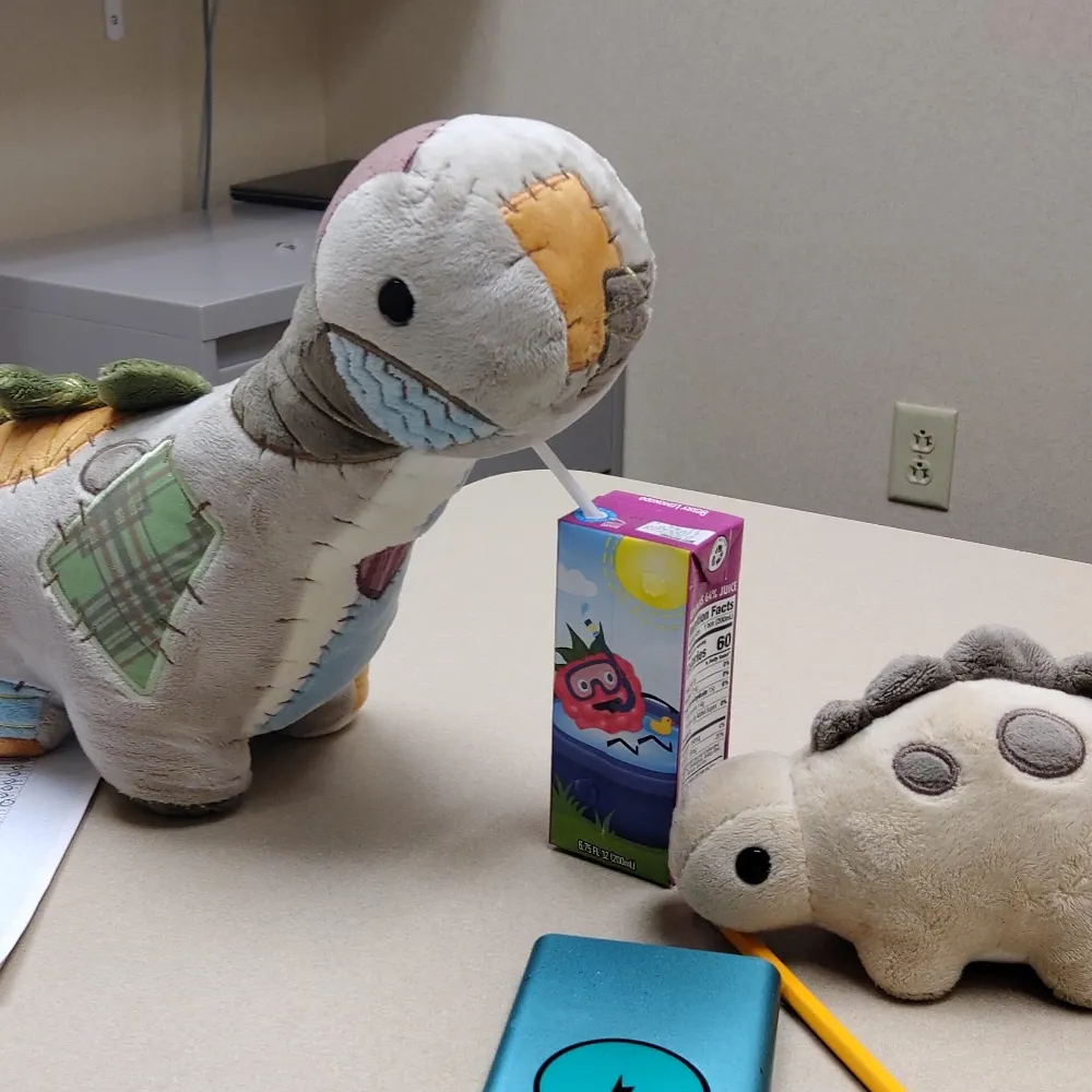 heckthecat.bsky.social's profile picture