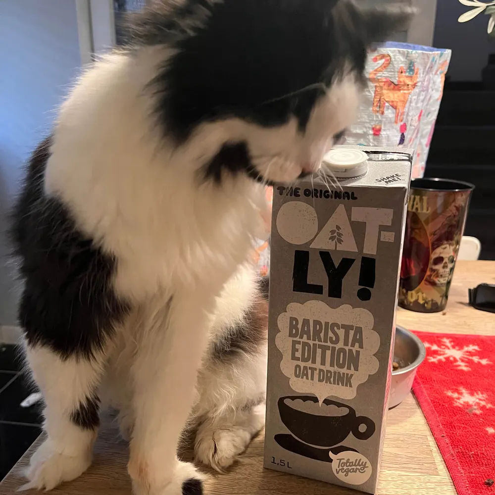 pitseapanda.bsky.social's profile picture