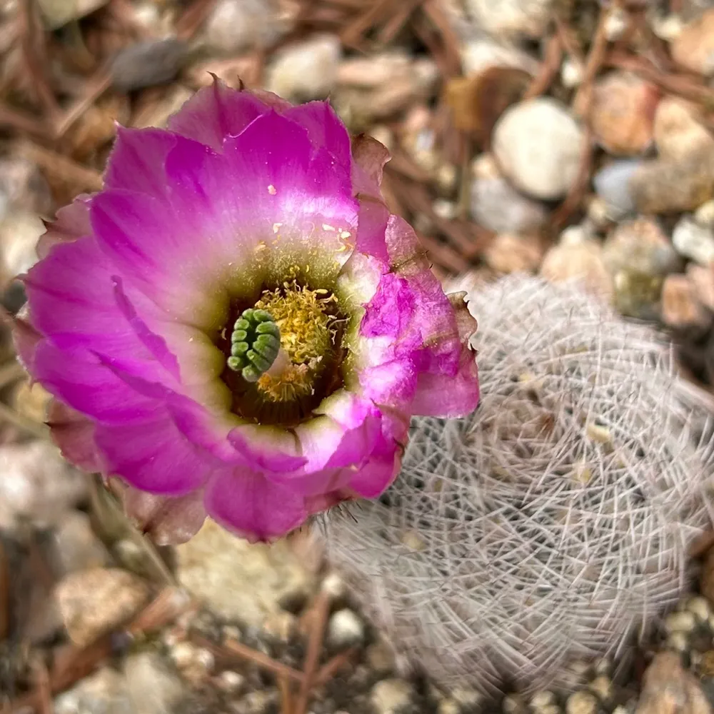 highplainsvoter.bsky.social's profile picture