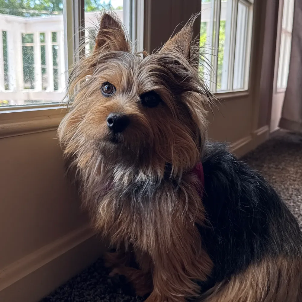 lilmudda.bsky.social's profile picture