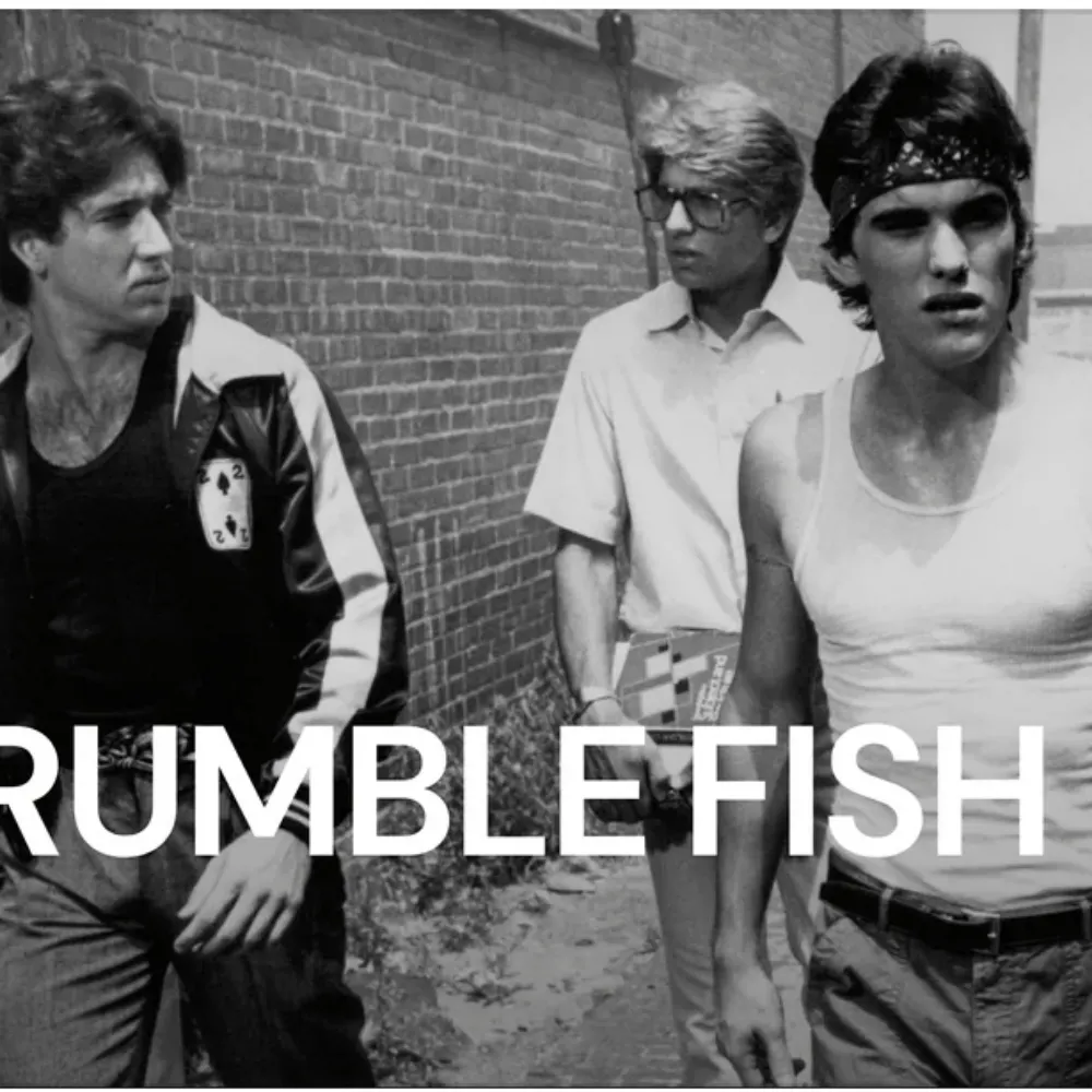 fpl-rumblefish.bsky.social's profile picture