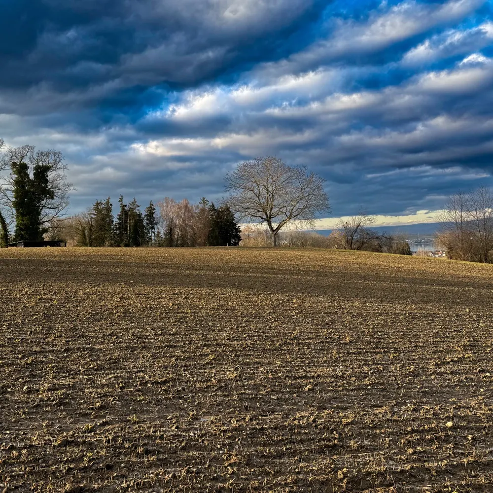 bree794.bsky.social's profile picture