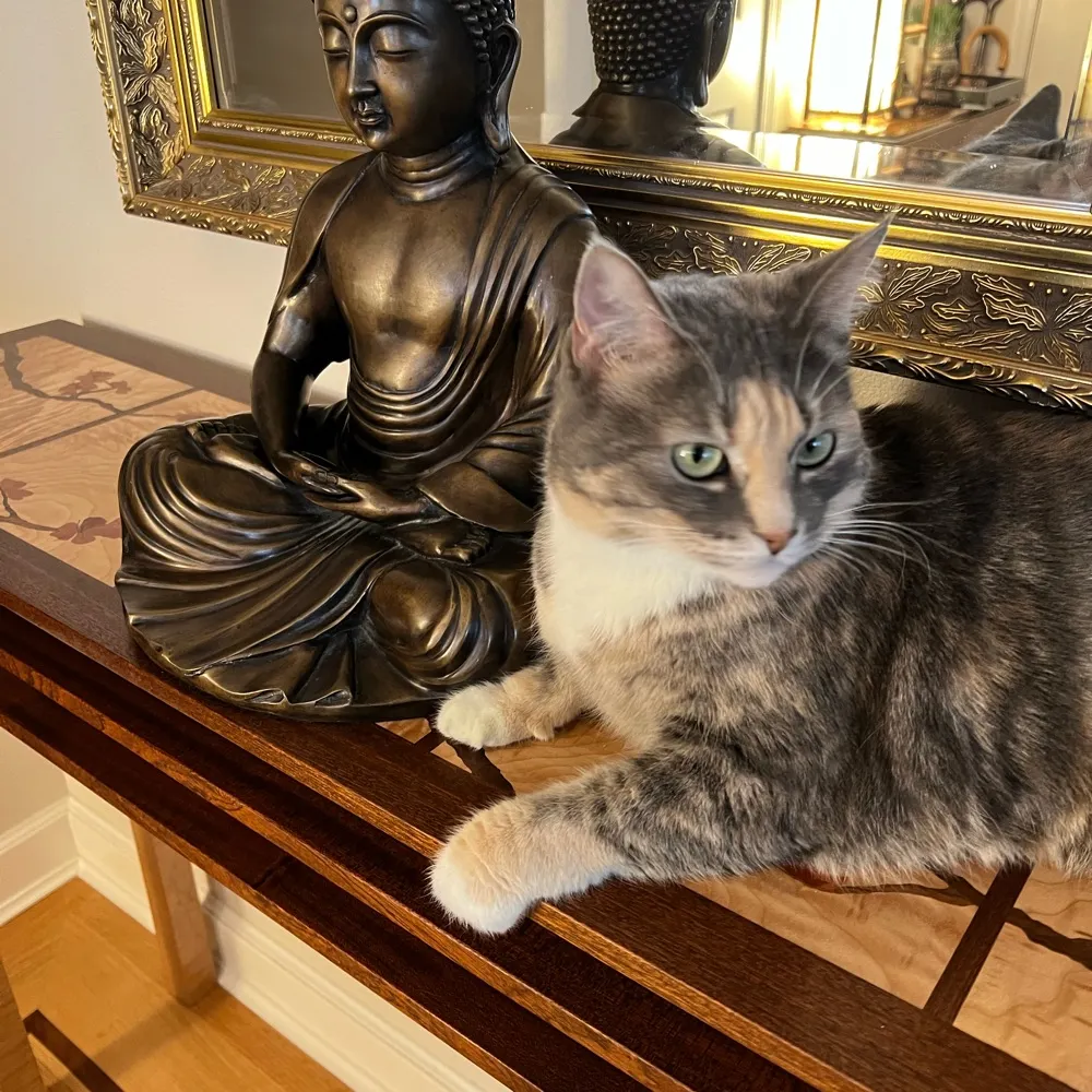 legalily.bsky.social's profile picture