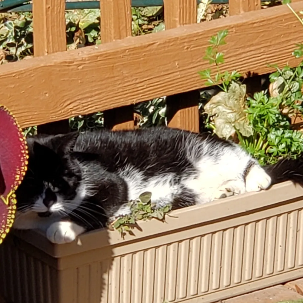 jonesm80.bsky.social's profile picture