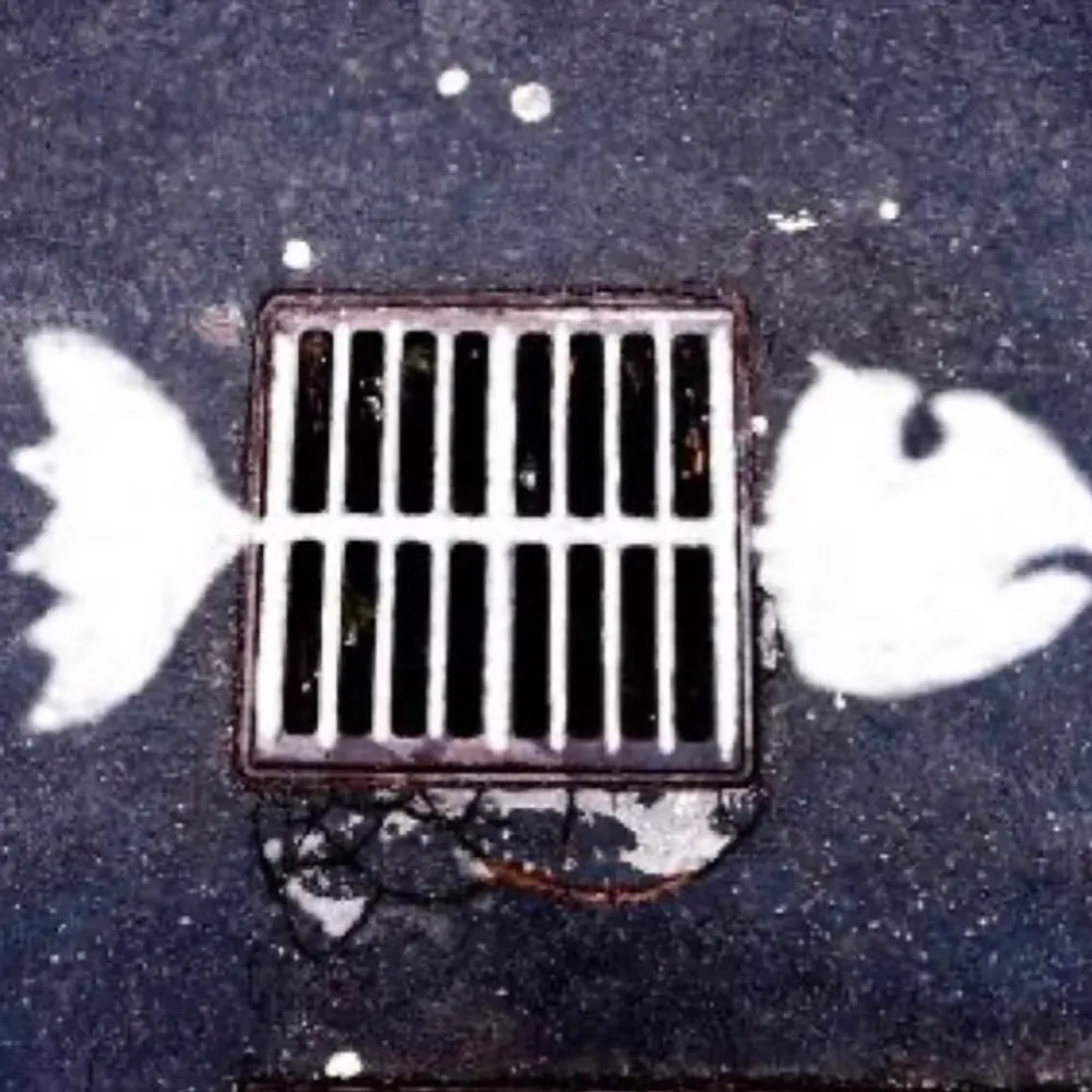 ikben-robjansen.bsky.social's profile picture