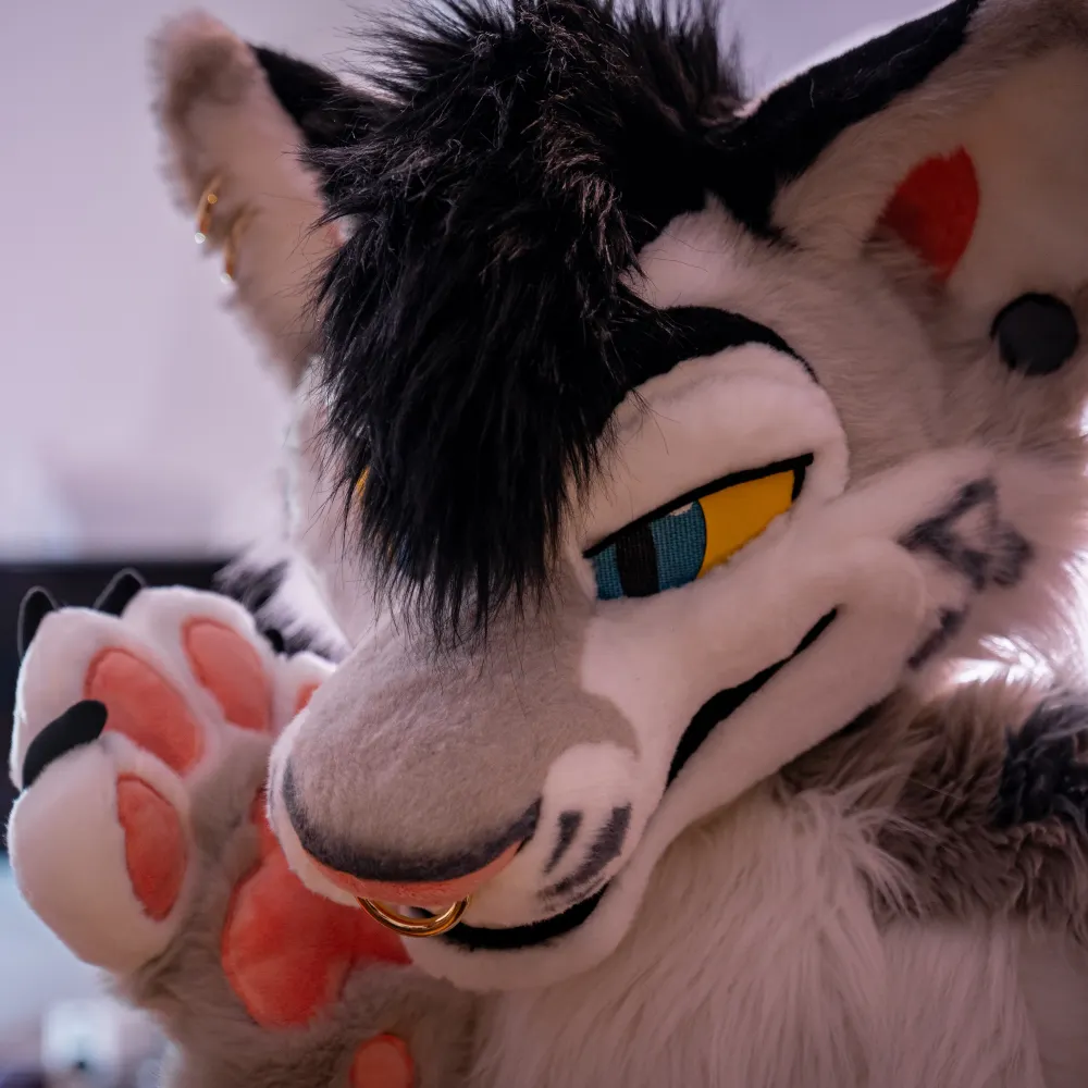 mow.bsky.social's profile picture