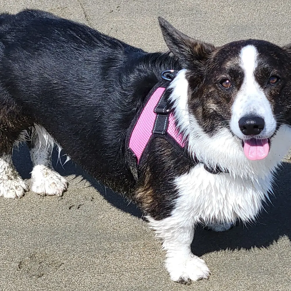 mrmucketymuck.bsky.social's profile picture