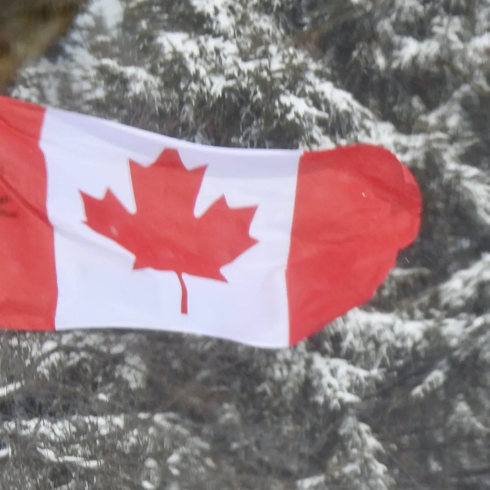 brucegreyinfo.bsky.social's profile picture