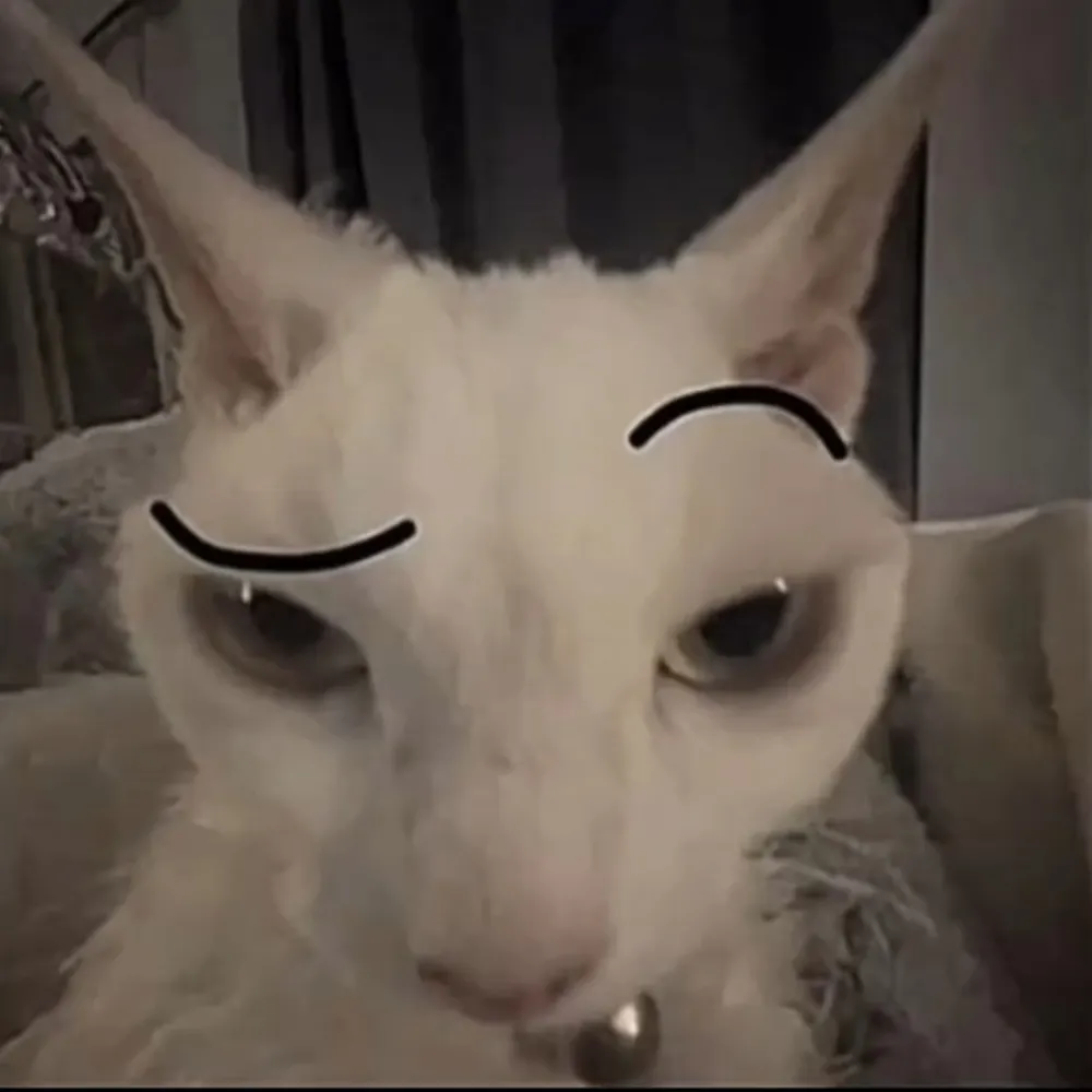 leozinn85.bsky.social's profile picture