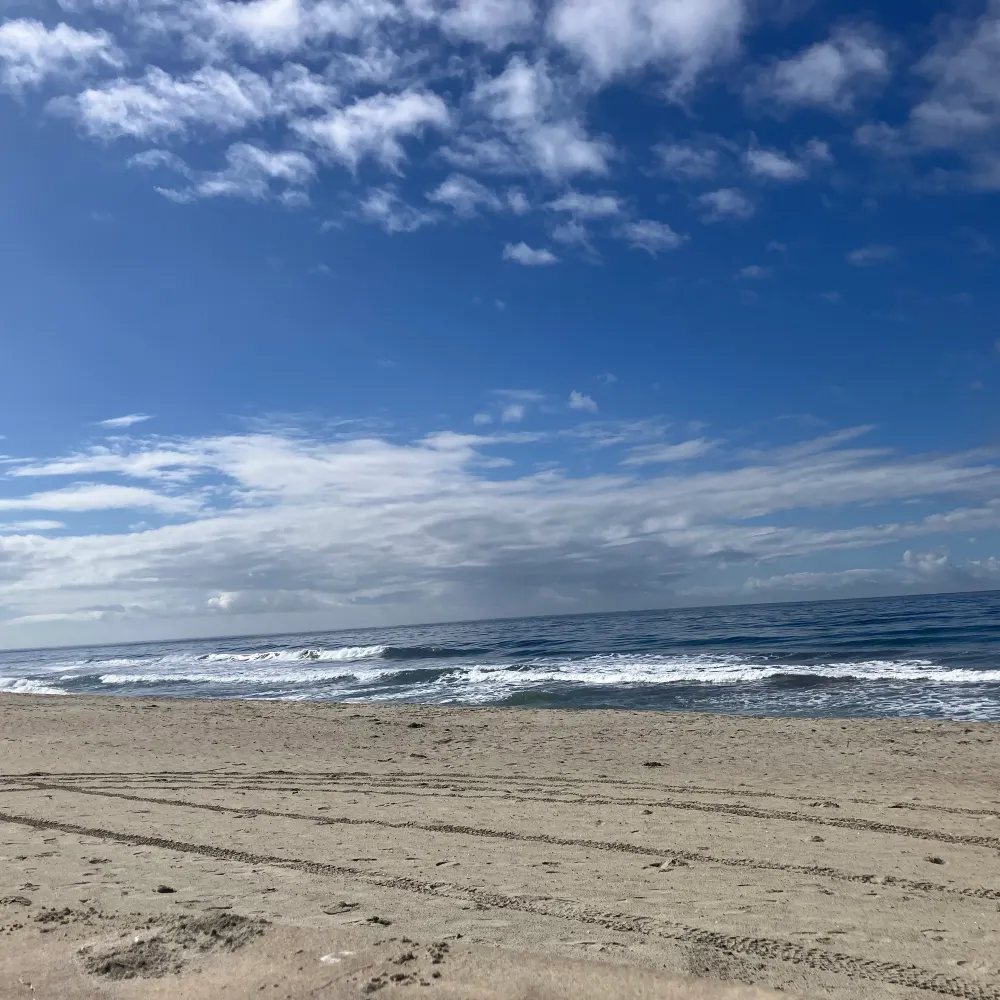 blueskyminer.bsky.social's profile picture