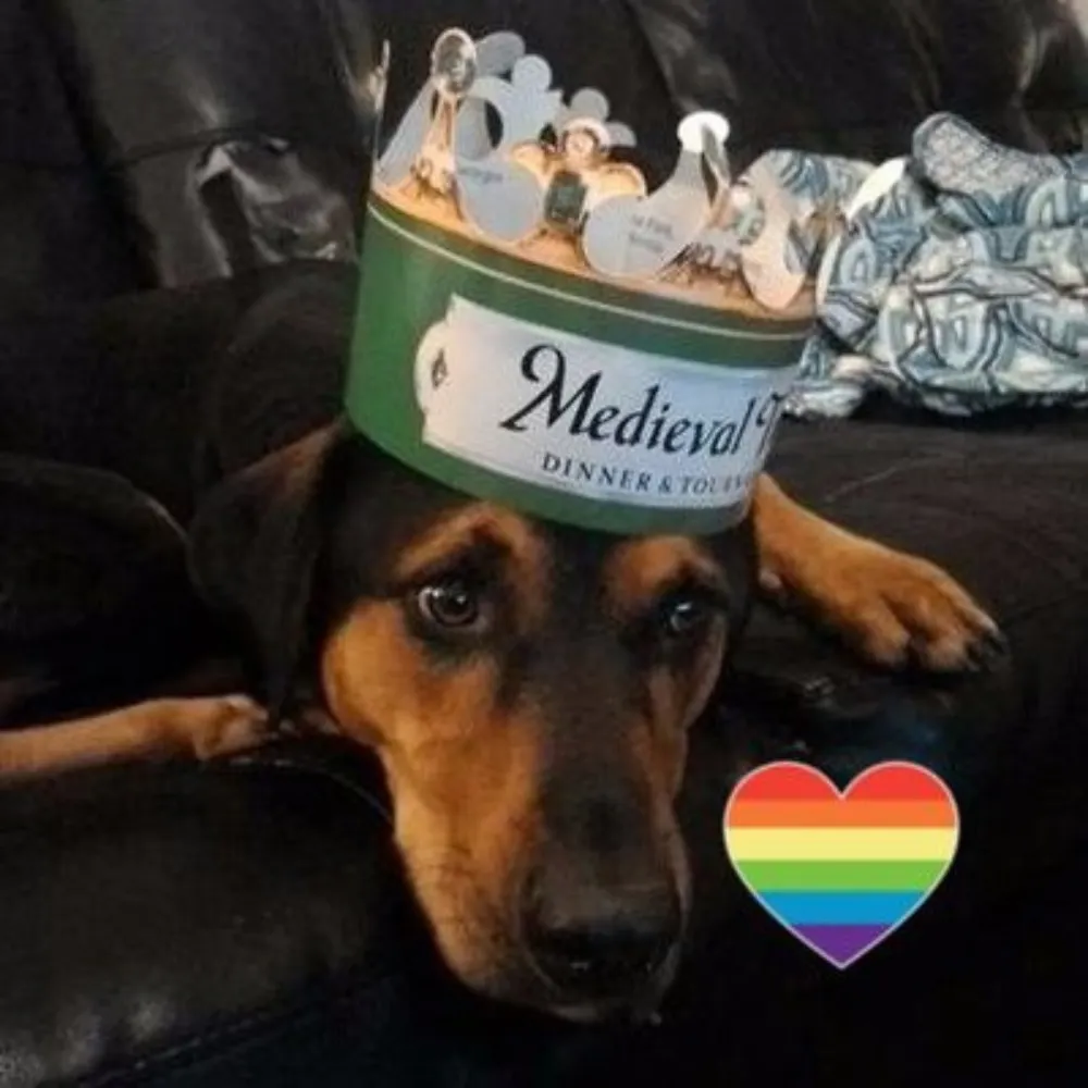 maplecocaine.bsky.social's profile picture