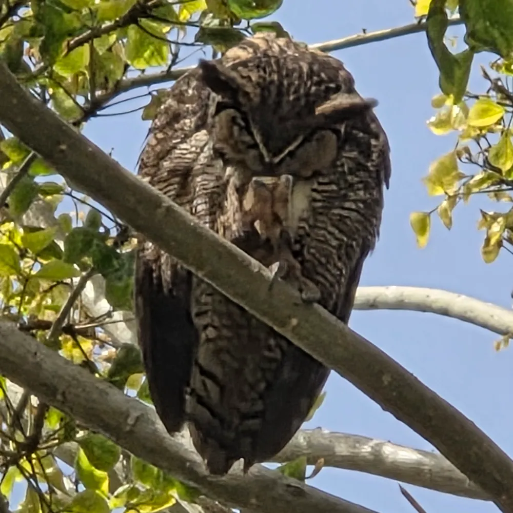 davidgruberg.bsky.social's profile picture