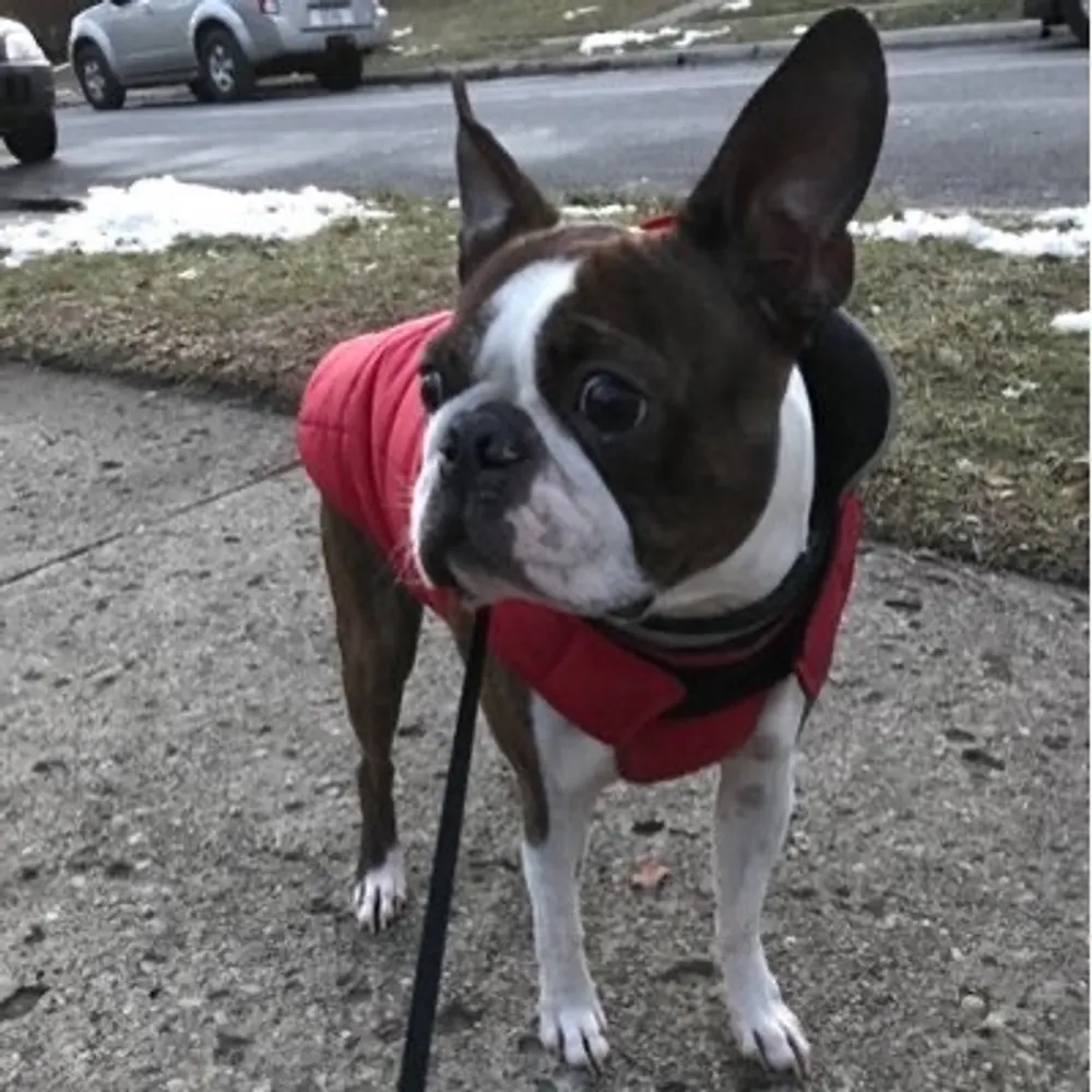 andydowning33.bsky.social's profile picture