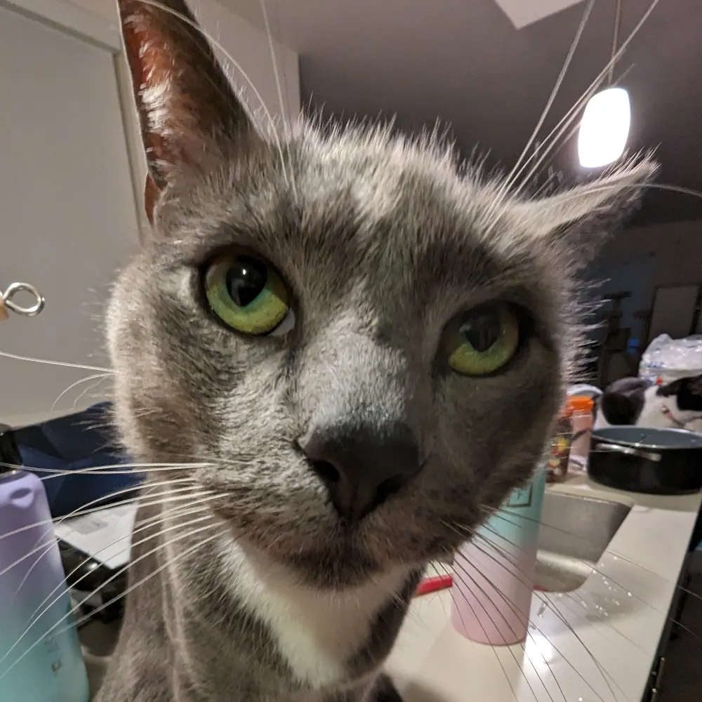 tearsofjake.bsky.social's profile picture