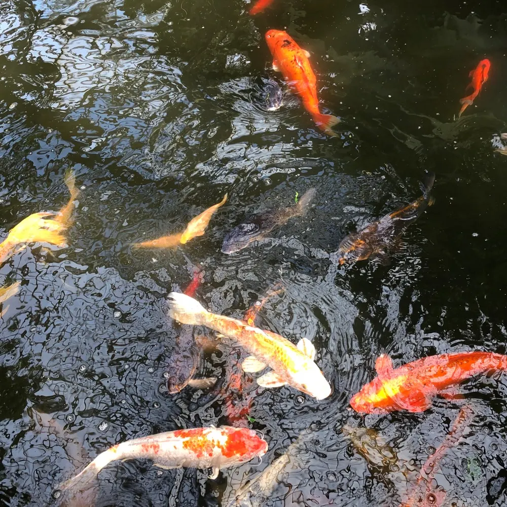 juditty.bsky.social's profile picture