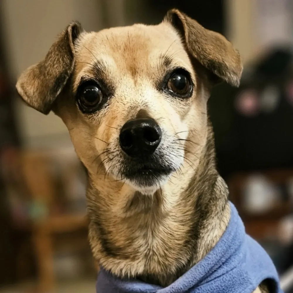 bsmiley05.bsky.social's profile picture