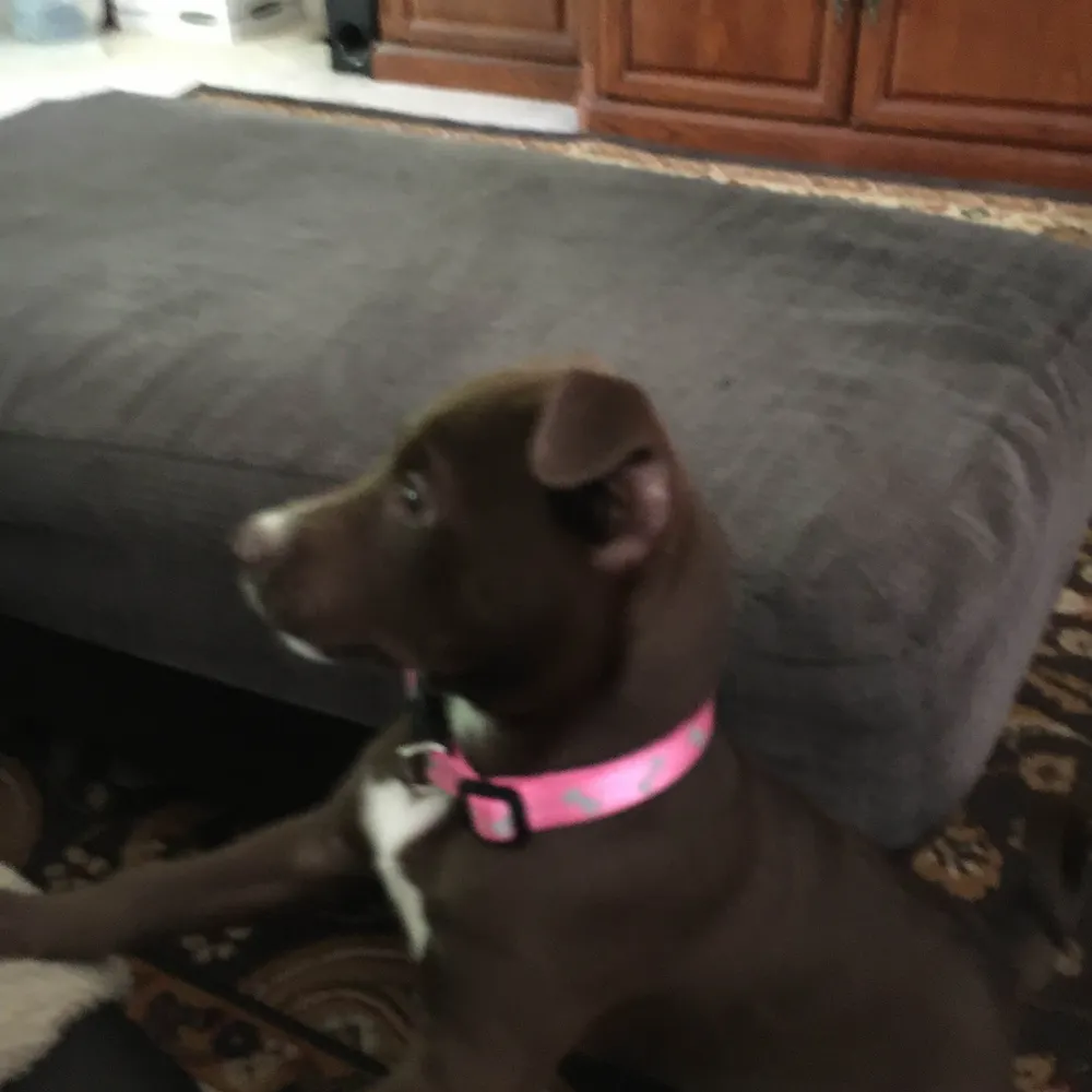 tennking.bsky.social's profile picture