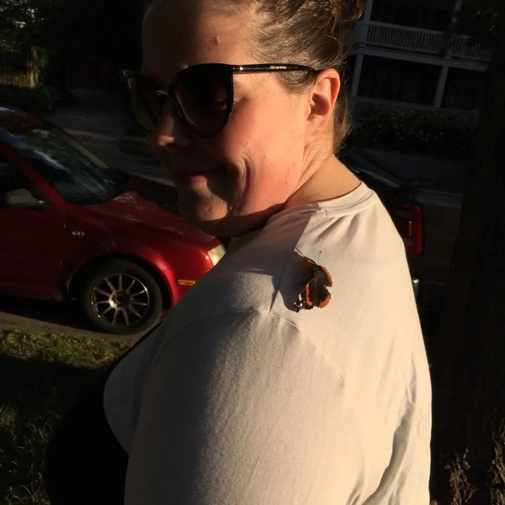 absurdities.bsky.social's profile picture