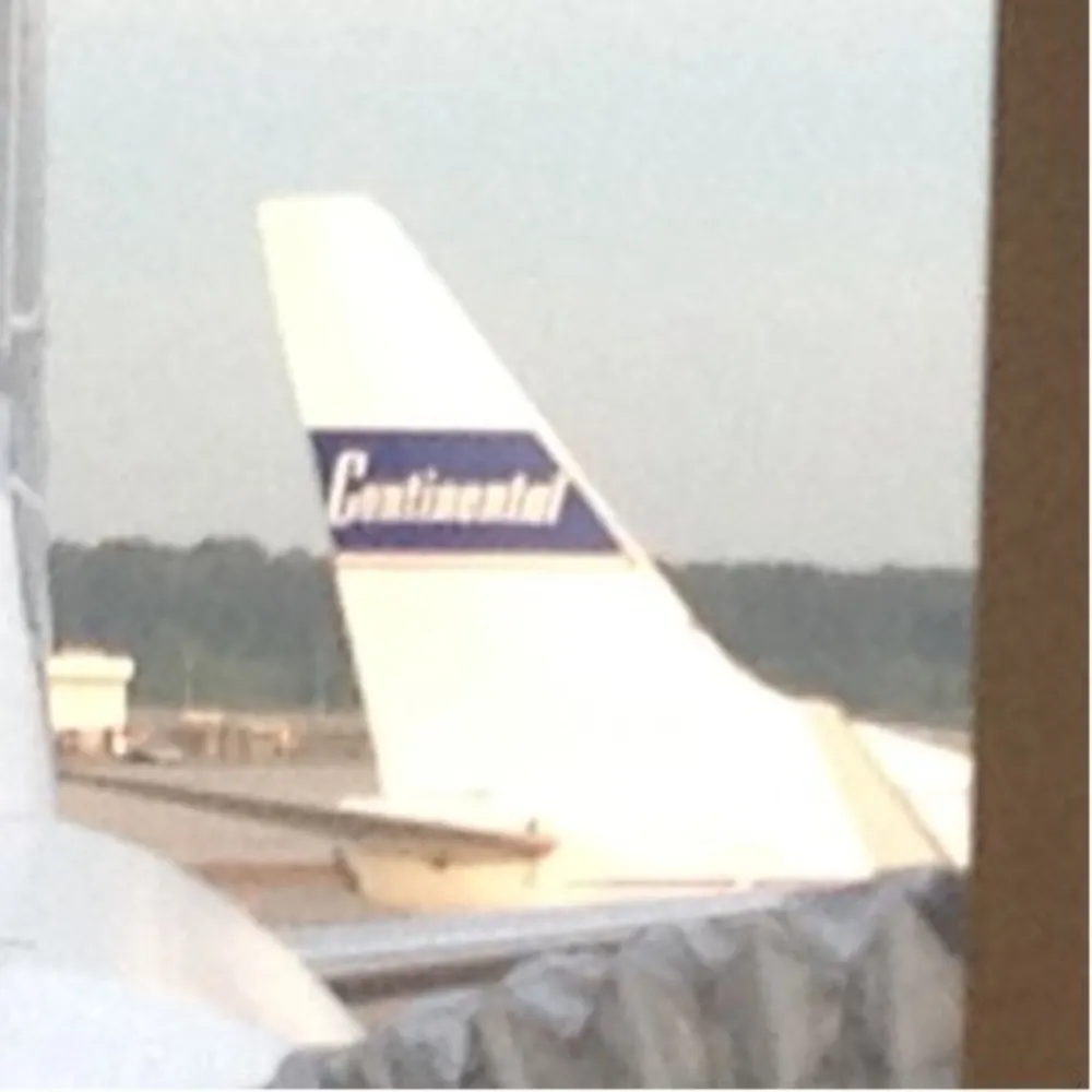 tcatsuko.didcarolinalose.com's profile picture