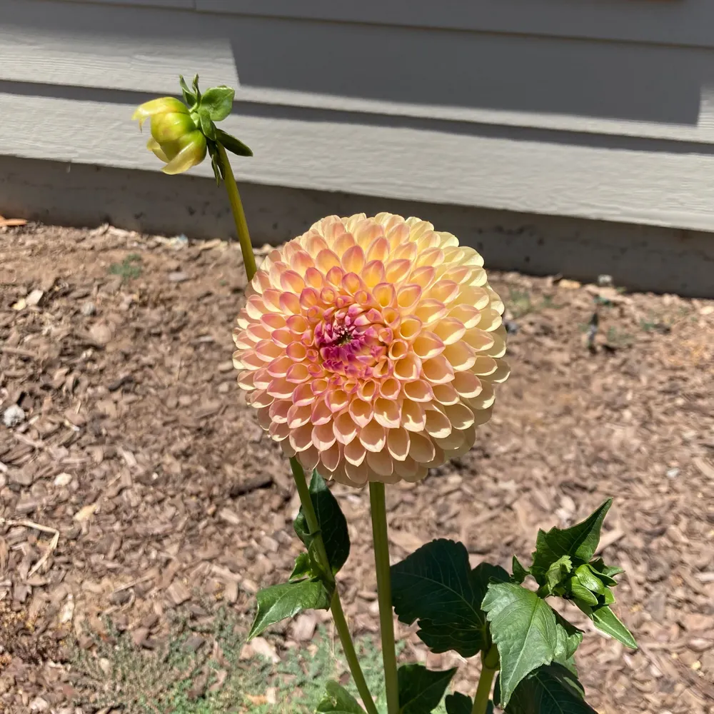 hbhandmade.bsky.social's profile picture