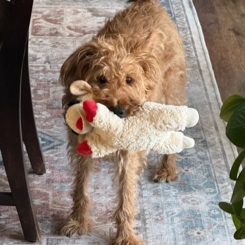 galatians522.bsky.social's profile picture