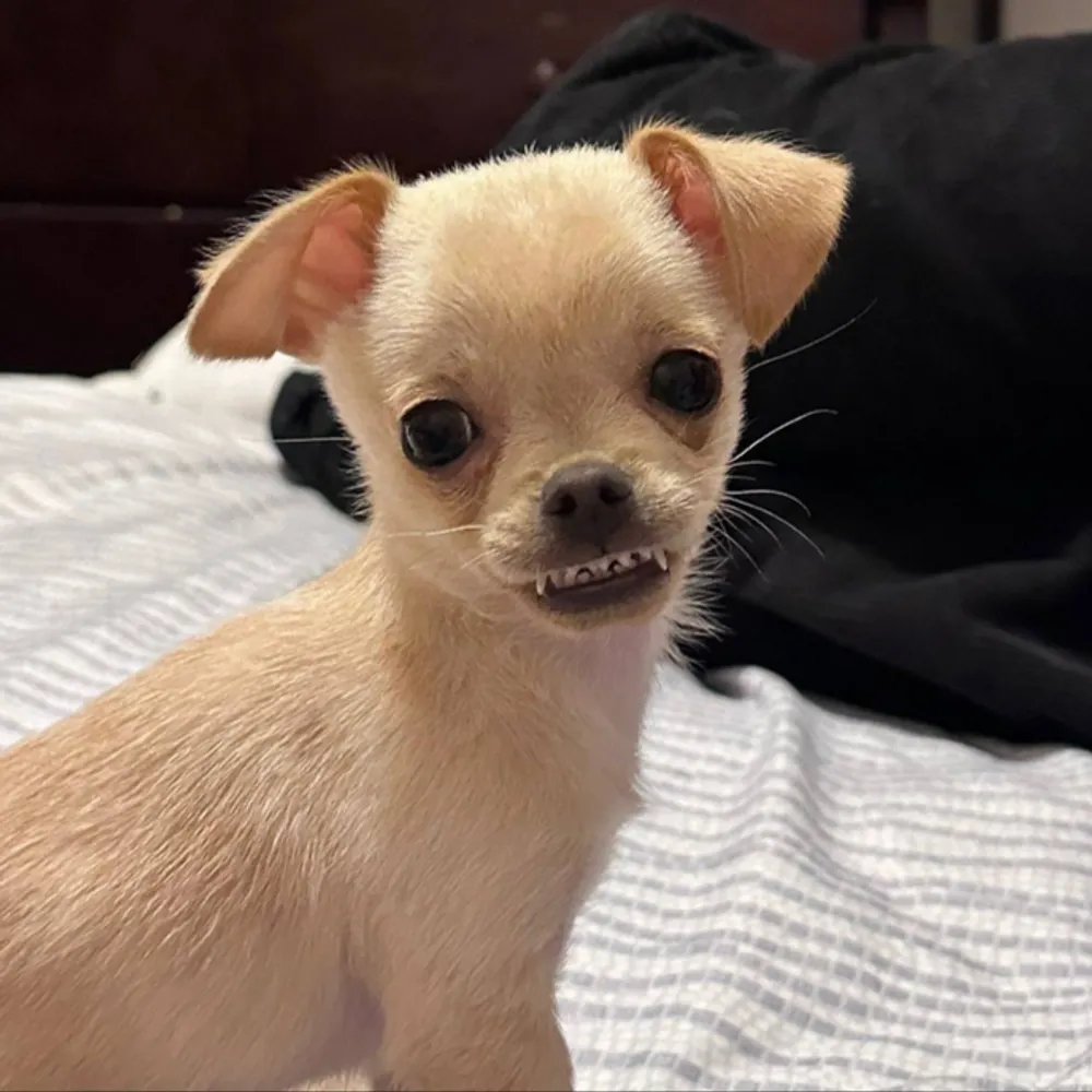 michalf.bsky.social's profile picture