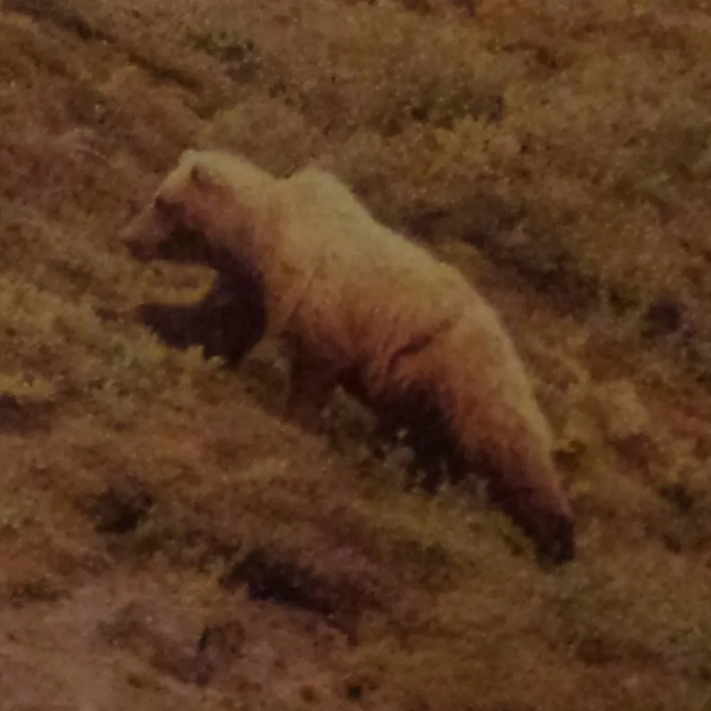 hurricanexyz.bsky.social's profile picture