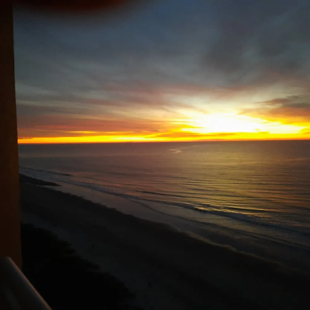 therock54.bsky.social's profile picture