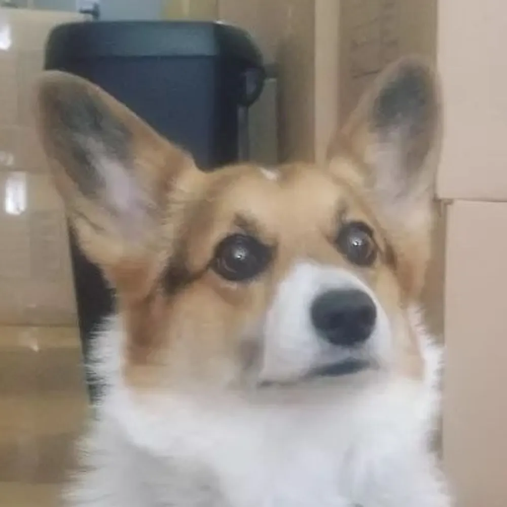 skarlath0.bsky.social's profile picture