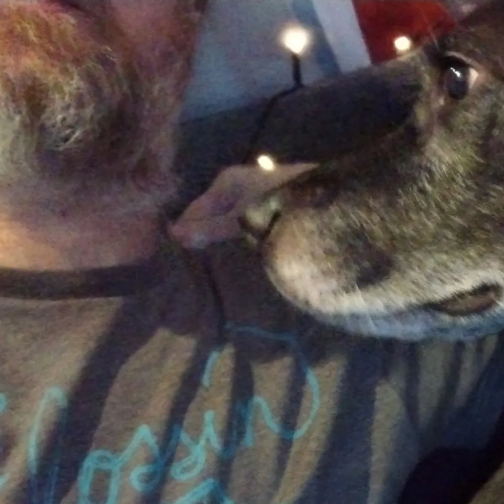 spodlife.bsky.social's profile picture