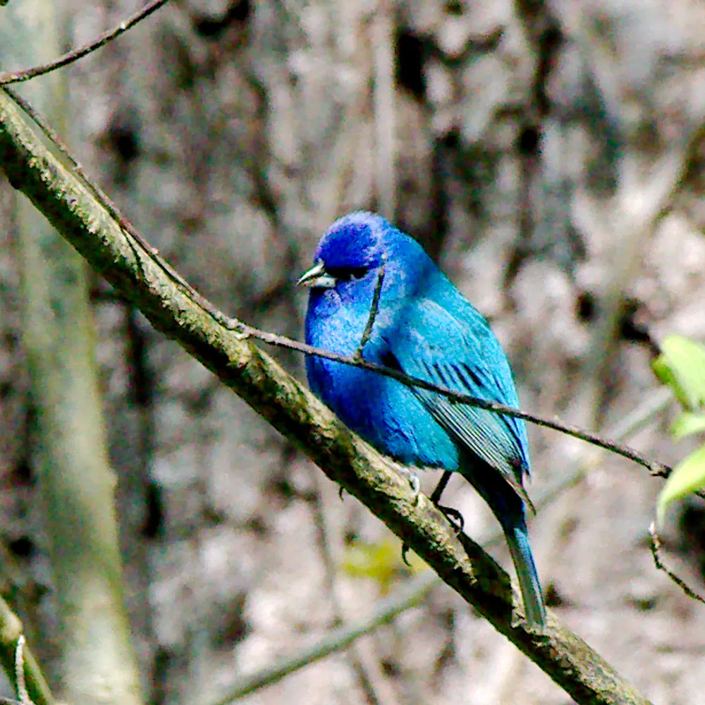 paddlingphotog.bsky.social's profile picture